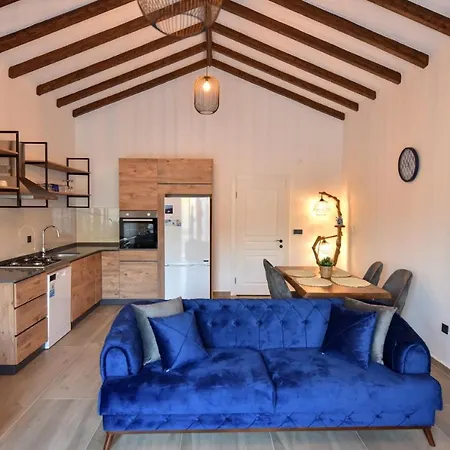 Asya Villas * פאטהיה